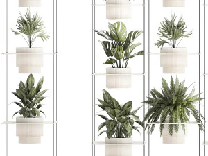 Hanging Shelf On Ropes Potted Plants Monstera Palm 1420 3D Model