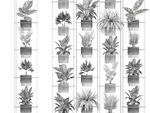 Hanging Shelf On Ropes Potted Plants Monstera Palm 1420 Modelo 3D
