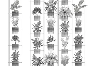 Hanging Shelf On Ropes Potted Plants Monstera Palm 1420 3D Model