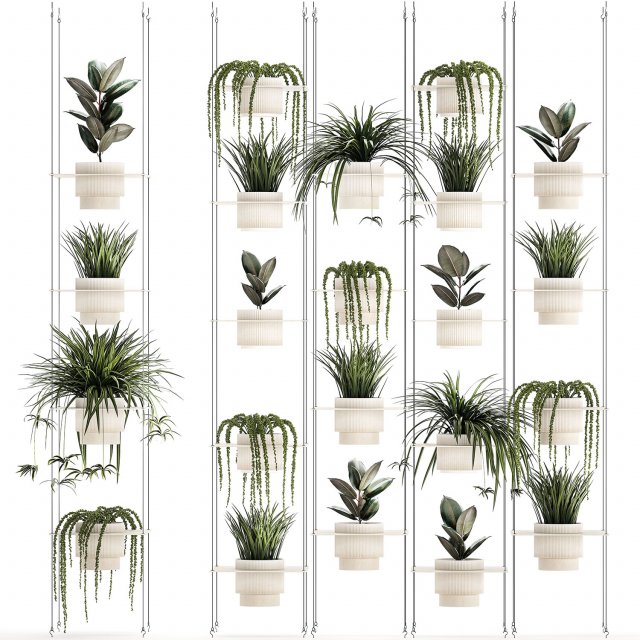 Hanging shelf on ropes pot Senecio Ficus Chlorophytum 1421 3D Model .c4d .max .obj .3ds .fbx .stl .blend 