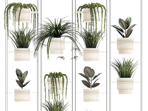 Hanging shelf on ropes pot Senecio Ficus Chlorophytum 1421 3D Model