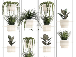 Hanging shelf on ropes pot Senecio Ficus Chlorophytum 1421 3D Model