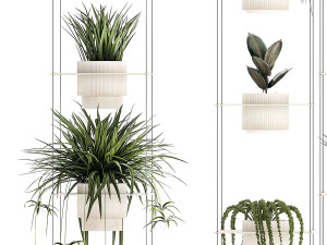 Hanging shelf on ropes pot Senecio Ficus Chlorophytum 1421 3D Model