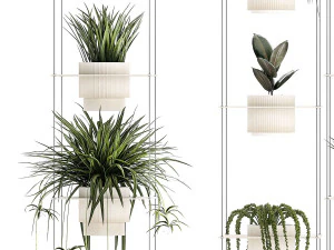 Hanging shelf on ropes pot Senecio Ficus Chlorophytum 1421 3D Model