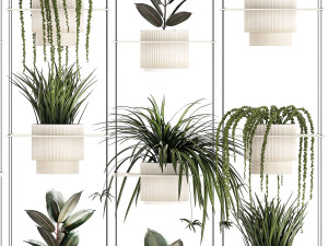 Hanging shelf on ropes pot Senecio Ficus Chlorophytum 1421 3D Model