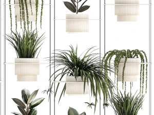 Hanging shelf on ropes pot Senecio Ficus Chlorophytum 1421 3D Model