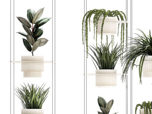 Hanging shelf on ropes pot Senecio Ficus Chlorophytum 1421 3D Model