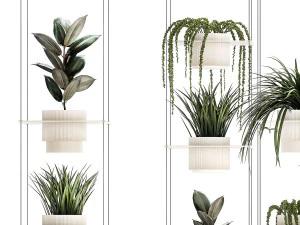 Hanging shelf on ropes pot Senecio Ficus Chlorophytum 1421 3D Model