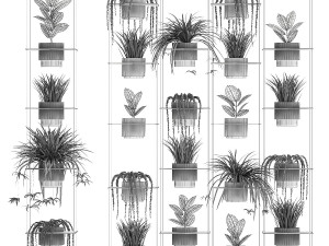 Hanging shelf on ropes pot Senecio Ficus Chlorophytum 1421 3D Model