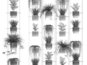 Hanging shelf on ropes pot Senecio Ficus Chlorophytum 1421 3D Model