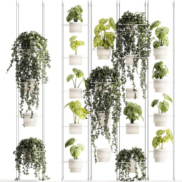 Полка, подвесная на веревках, горшок с растениями Плющ Антуриум 1422 3D Модель .c4d .max .obj .3ds .fbx .stl .blend 