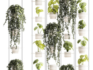 Shelf hanging on ropes plants pot Ivy Anthurium 1422 3D मॉडल