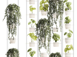 Полка, подвесная на веревках, горшок с растениями Плющ Антуриум 1422 3D Модель