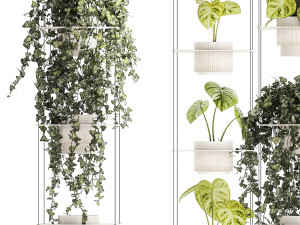 Shelf hanging on ropes plants pot Ivy Anthurium 1422 Model 3D