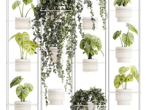 Shelf hanging on ropes plants pot Ivy Anthurium 1422 Model 3D