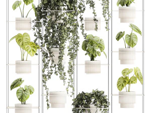 Полка, подвесная на веревках, горшок с растениями Плющ Антуриум 1422 3D Модель
