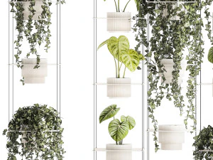 Полка, подвесная на веревках, горшок с растениями Плющ Антуриум 1422 3D Модель