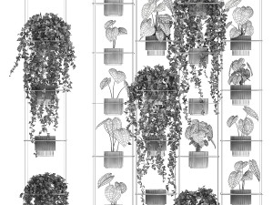 Shelf hanging on ropes plants pot Ivy Anthurium 1422 Model 3D