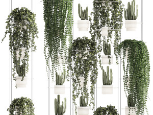 Hanging shelf with ivy cereus cactus hanging plants 1423 3D Model