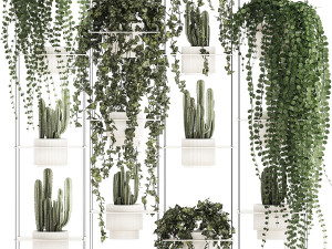Hanging shelf with ivy cereus cactus hanging plants 1423 Model 3D