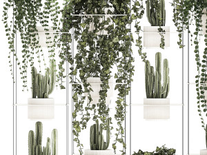 Hanging shelf with ivy cereus cactus hanging plants 1423 Model 3D
