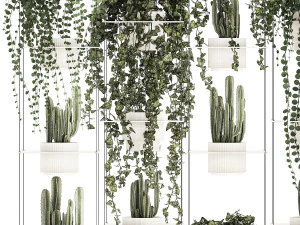 Prateleira suspensa com plantas suspensas de cacto ivy cereus 1423 Modelo 3D