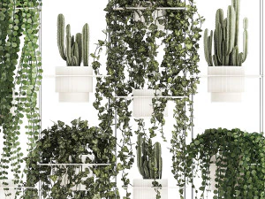 Prateleira suspensa com plantas suspensas de cacto ivy cereus 1423 Modelo 3D