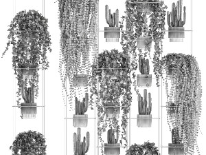 Hanging shelf with ivy cereus cactus hanging plants 1423 Model 3D
