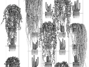 Prateleira suspensa com plantas suspensas de cacto ivy cereus 1423 Modelo 3D