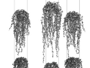 Shelf hanging on cables with ivy Hedera hanging plants 1424 3D Model