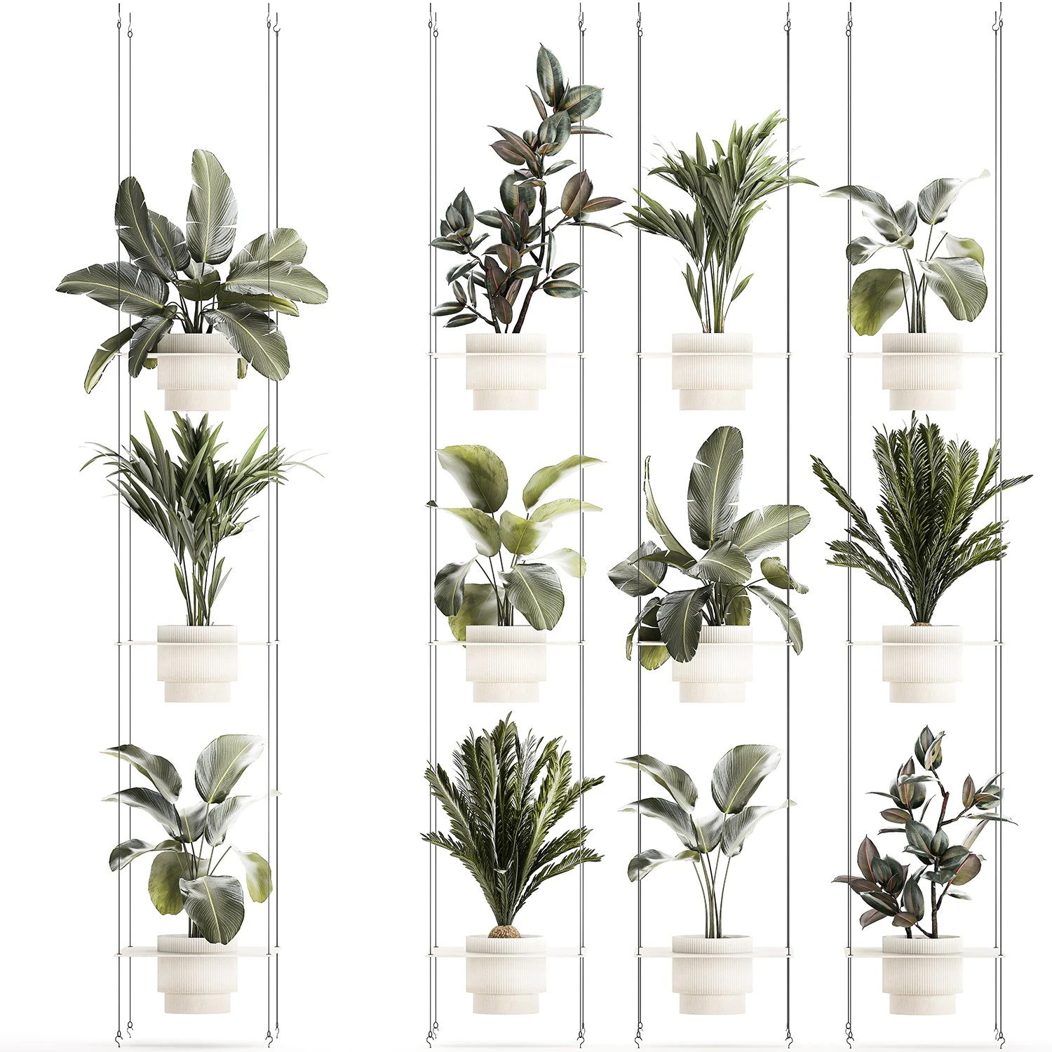 Rope shelf Cycas Ficus Calathea Strelitzia pot 1425 3D Model .c4d .max .obj .3ds .fbx .stl .blend 