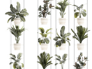 Rope shelf Cycas Ficus Calathea Strelitzia pot 1425 3D Model