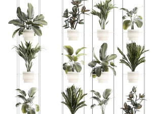 Mensola in corda Cycas Ficus Calathea Strelitzia vaso 1425 Modello 3D