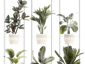 Rope shelf Cycas Ficus Calathea Strelitzia pot 1425 Model 3D