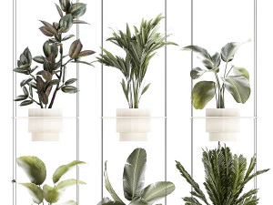 Rope shelf Cycas Ficus Calathea Strelitzia pot 1425 3D Model