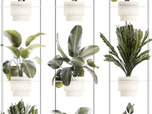 Rope shelf Cycas Ficus Calathea Strelitzia pot 1425 Model 3D
