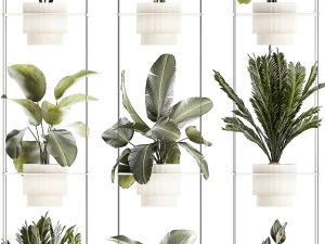 Rope shelf Cycas Ficus Calathea Strelitzia pot 1425 3D Model