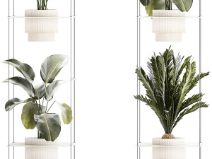 Rope shelf Cycas Ficus Calathea Strelitzia pot 1425 Model 3D