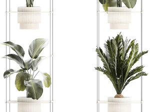 Rope shelf Cycas Ficus Calathea Strelitzia pot 1425 3D Model