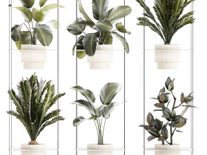 Rope shelf Cycas Ficus Calathea Strelitzia pot 1425 Model 3D