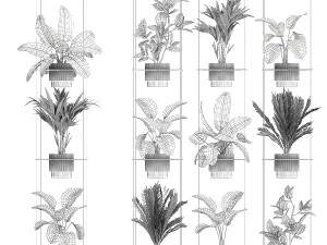 Rope shelf Cycas Ficus Calathea Strelitzia pot 1425 3D Model