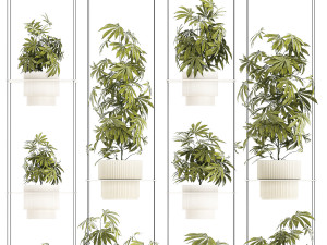 Garden shelf Of Bushes Hemp Marijuana Cannabis 3D 模型