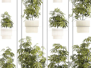 Prateleira de jardim de arbustos c&acirc;nhamo maconha cannabis Modelo 3D