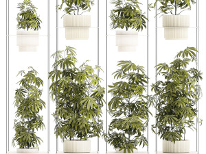 Garden shelf Of Bushes Hemp Marijuana Cannabis 3D 模型