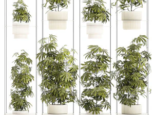 Prateleira de jardim de arbustos c&acirc;nhamo maconha cannabis Modelo 3D