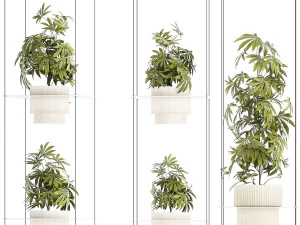 Prateleira de jardim de arbustos c&acirc;nhamo maconha cannabis Modelo 3D