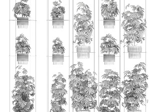 Garden shelf Of Bushes Hemp Marijuana Cannabis 3D 模型