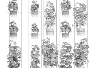 Prateleira de jardim de arbustos c&acirc;nhamo maconha cannabis Modelo 3D