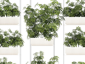 Garden plantation Bushes Hemp Marijuana Cannabis 1428 3D Model