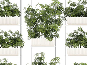 Planta&ccedil;&atilde;o de jardim Arbustos C&acirc;nhamo Maconha Cannabis 1428 Modelo 3D